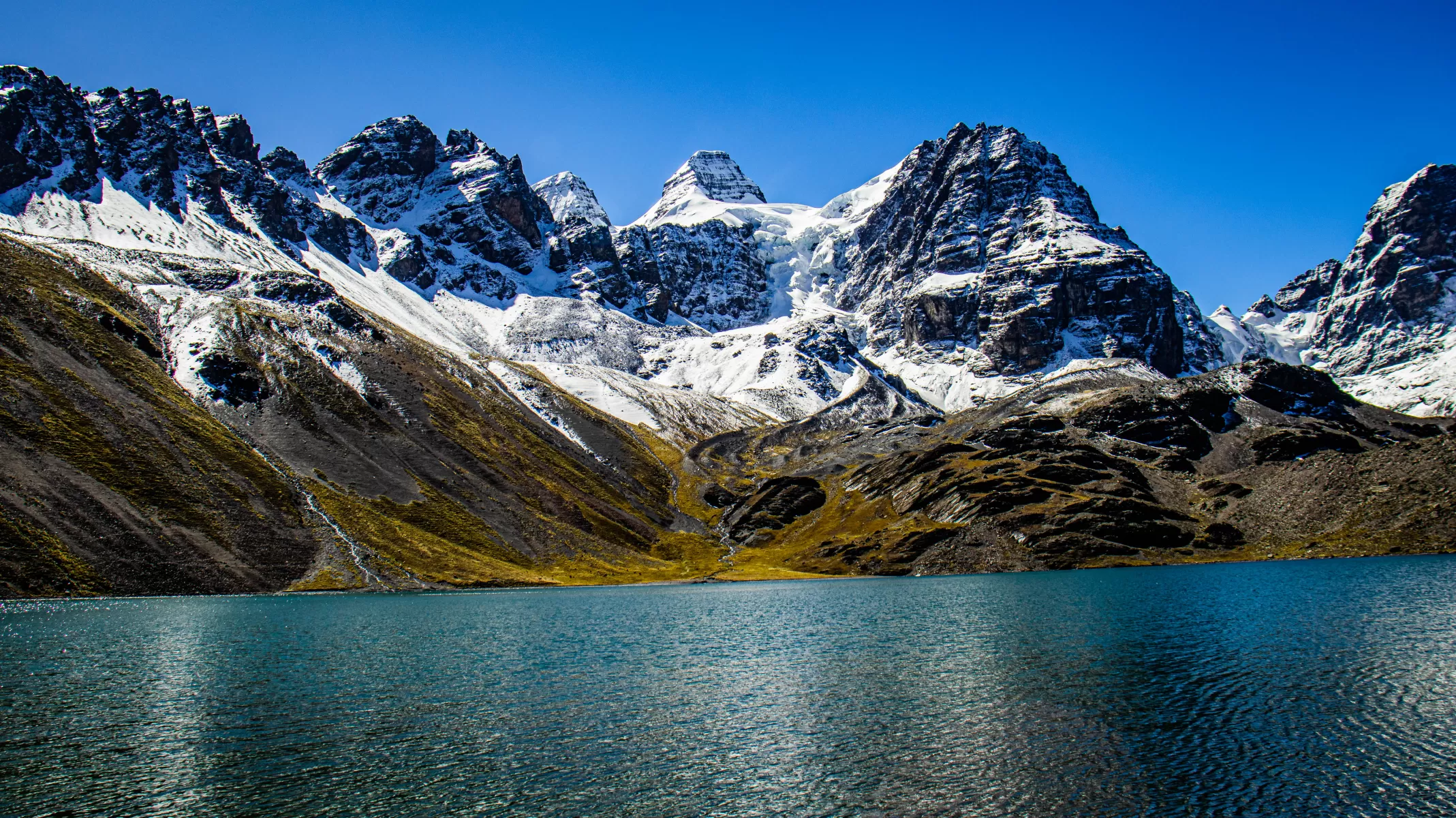 Portada image 6