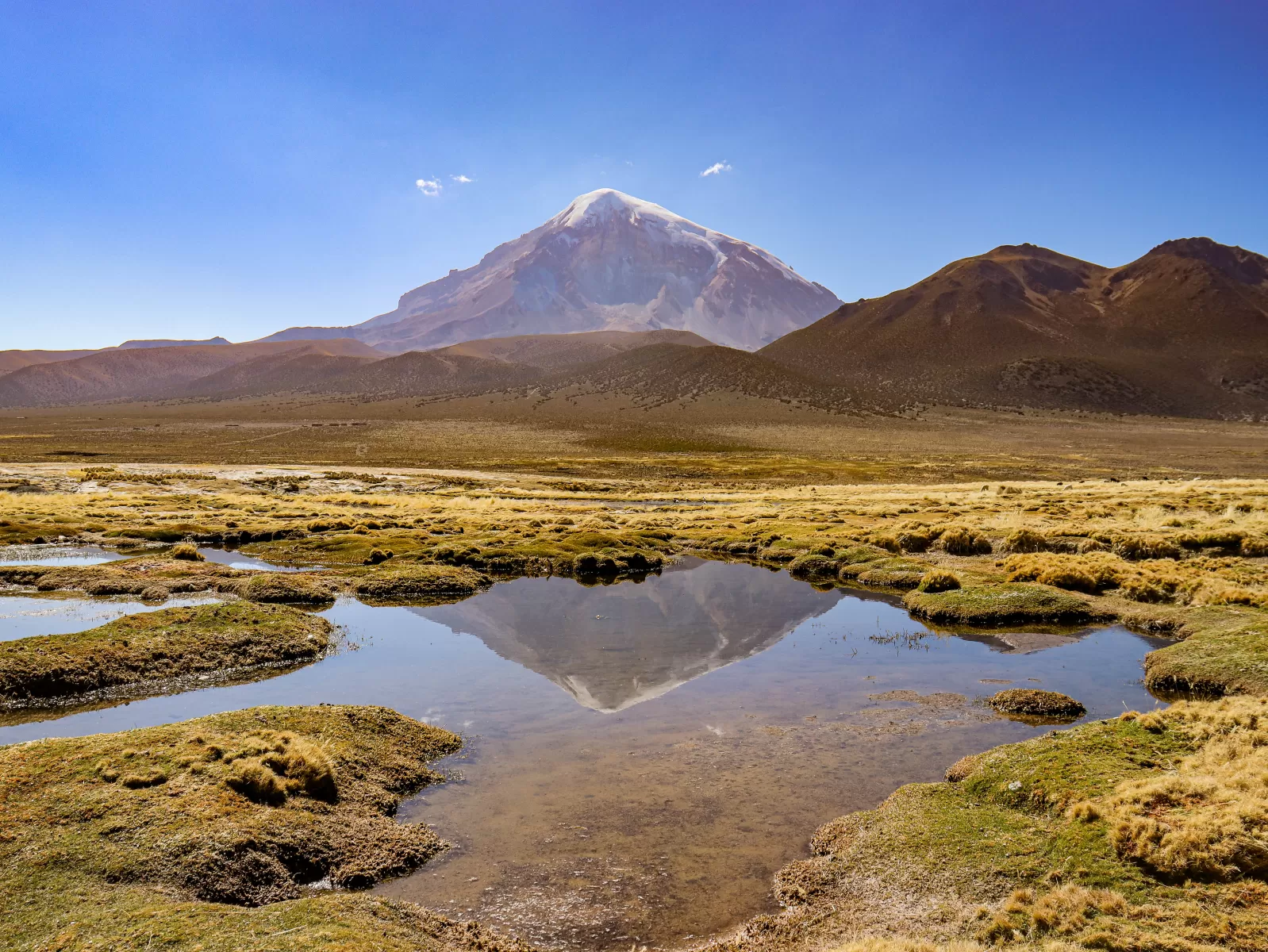 Portada image 5